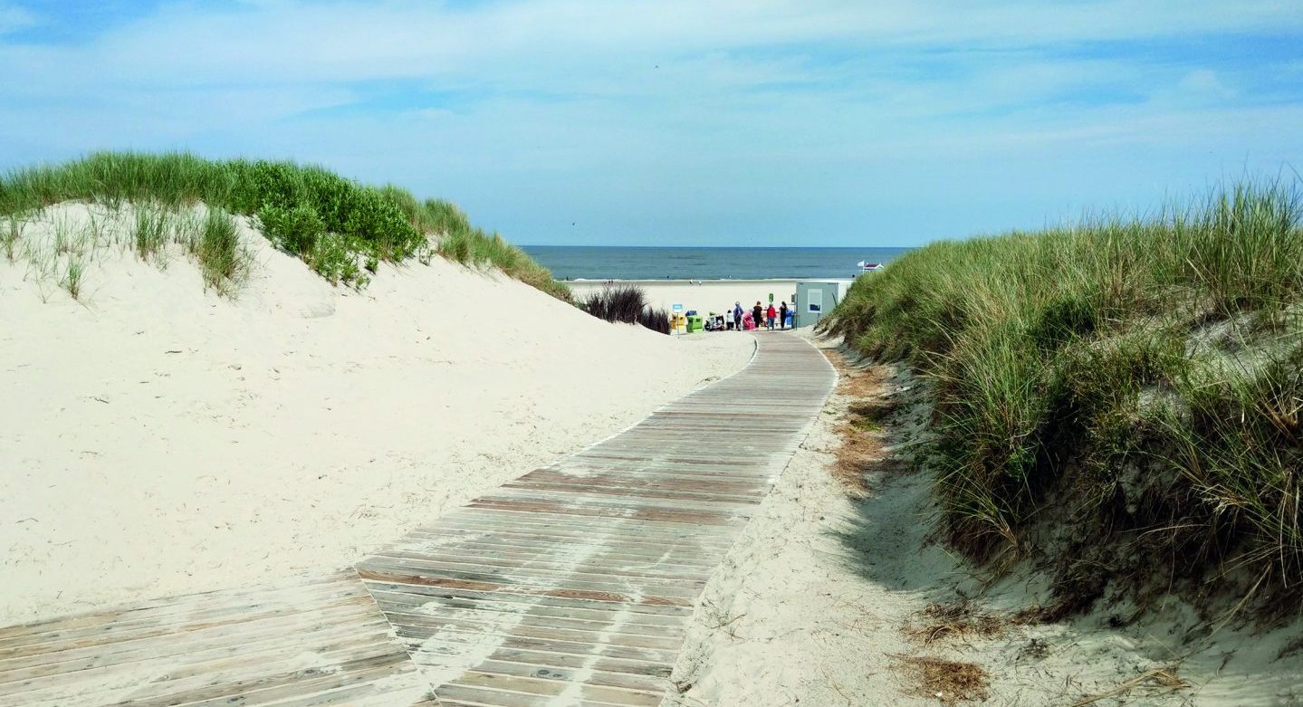 Spazierwege aus Holzbohlen führen durch die Dünenlandschaft und am Strand entlang