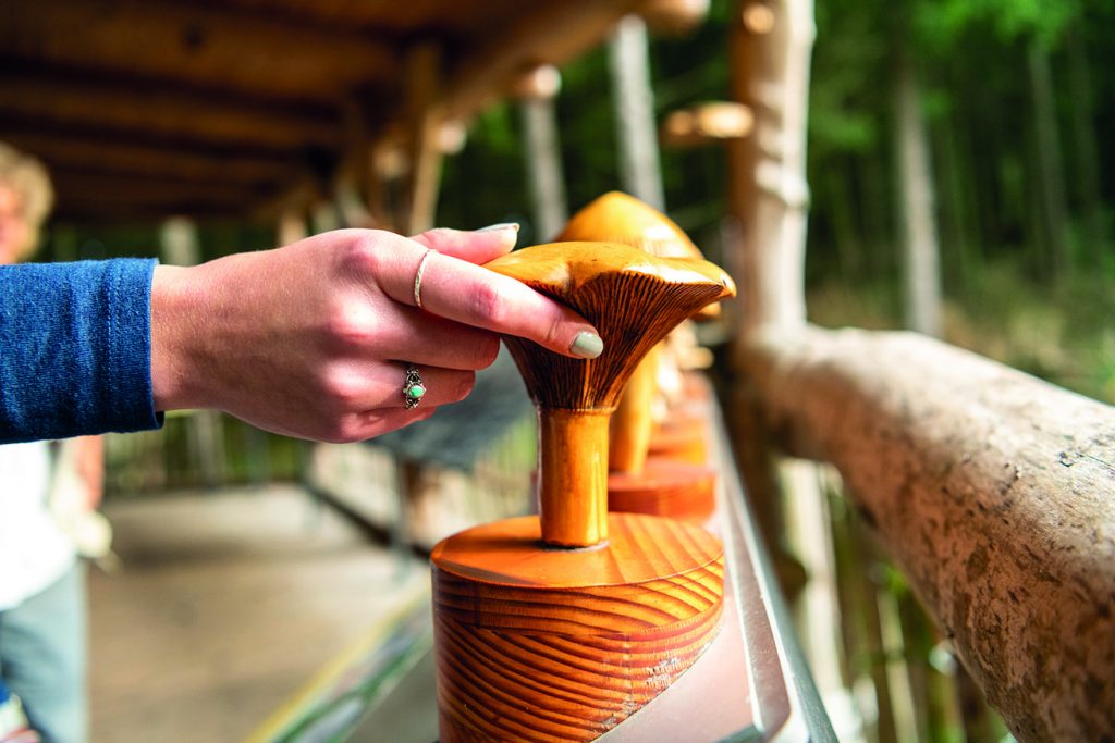 Nahaufnahme einer Hand und eines hölzernen 