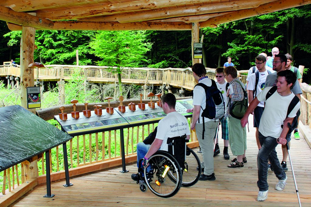 Rollstuhlfahrer auf prepariertem Weg durch einen Nationalpark