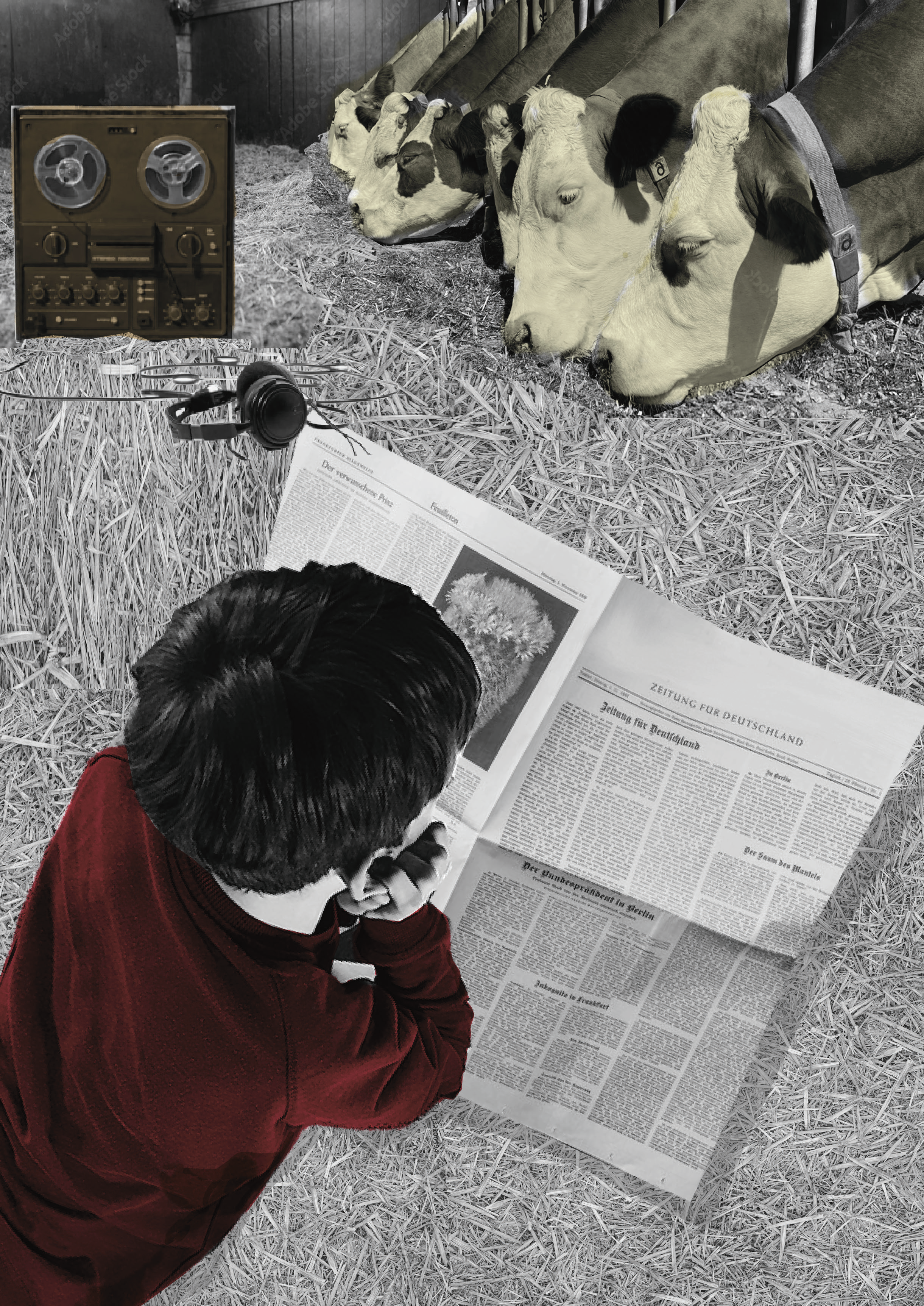 Junge im Stroh beim Zeitunglesen im Kuhstalll